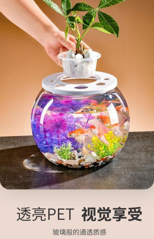 金魚缸圖片大全【《金魚缸圖片大全》*《金魚缸圖片大全》】