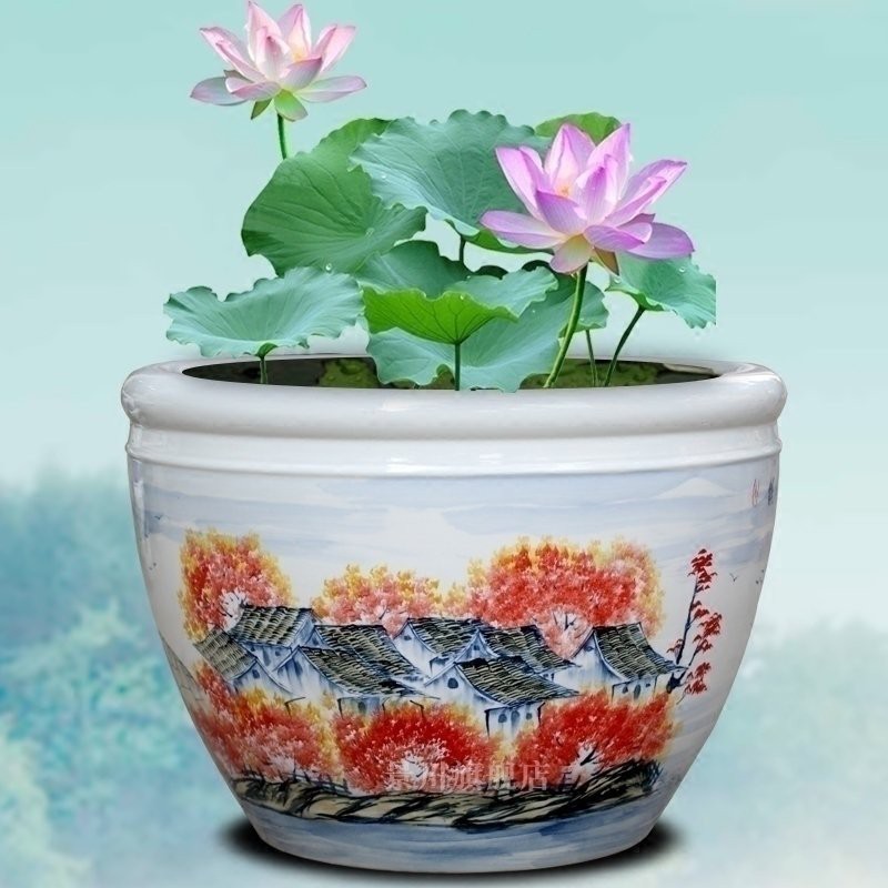 金魚缸圖片大全【《金魚缸圖片大全》*《金魚缸圖片大全》】
