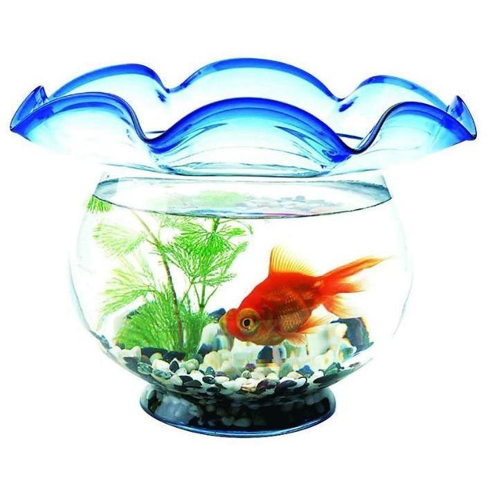 金魚缸圖片大全【《金魚缸圖片大全》*《金魚缸圖片大全》】