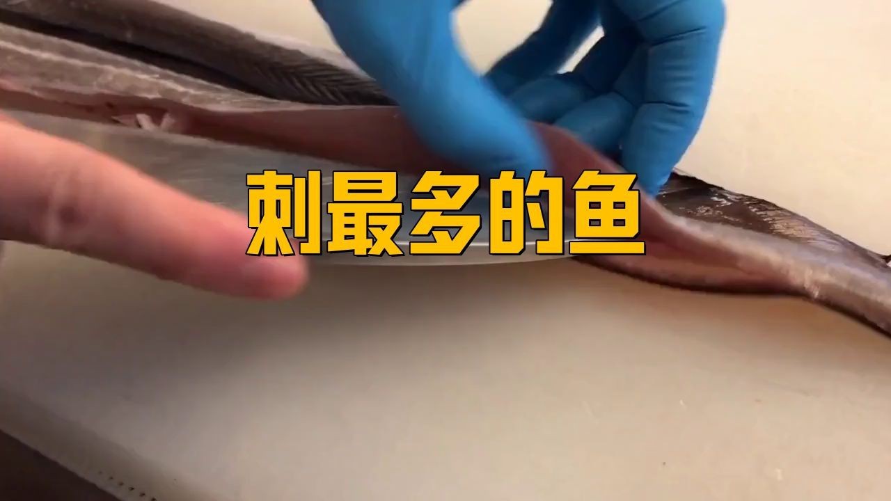 鰻魚為什么那么多小刺【鰻魚小刺多是什么原因】
