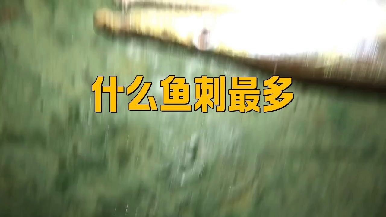 鰻魚為什么那么多小刺【鰻魚小刺多是什么原因】