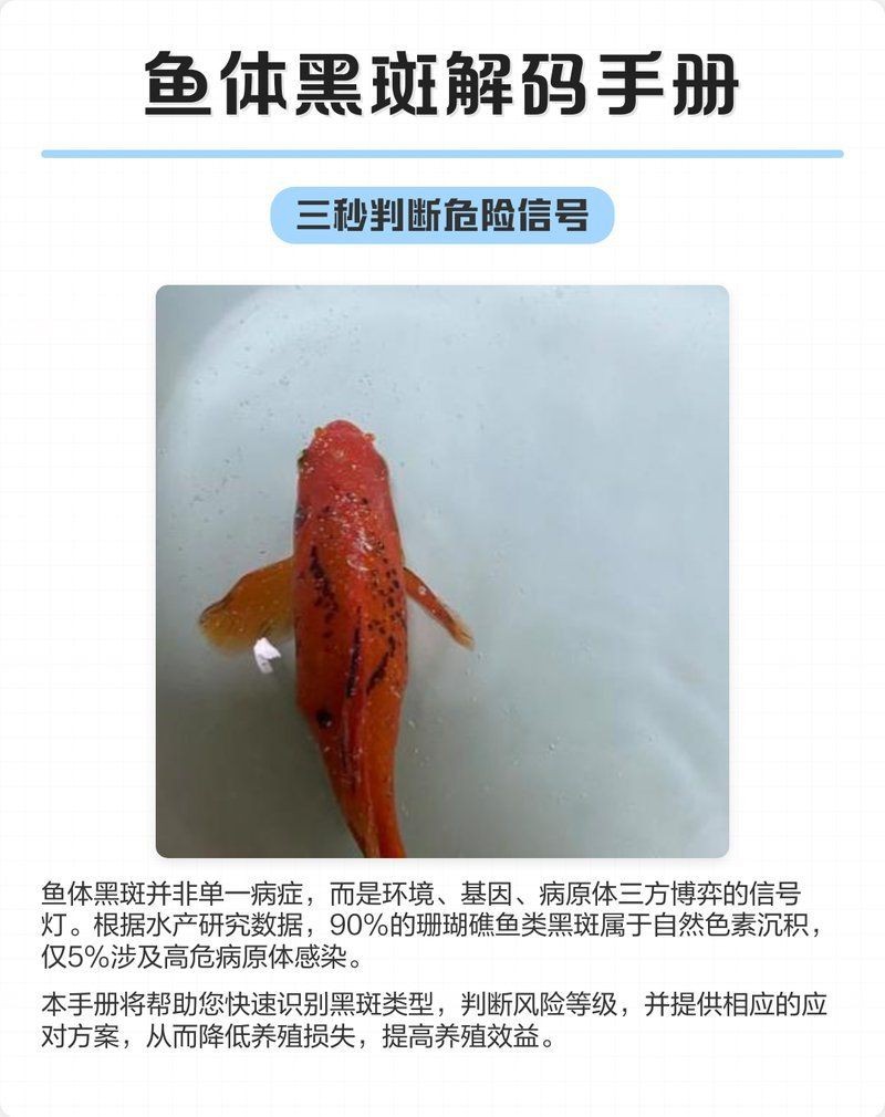 哪些藥物可能導致魚背發黑？【魚背發黑可能與多種藥物使用不當有關】