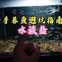 馬印水族魚鹽是雜牌子嗎【馬印水族魚鹽并非雜牌子馬印水族魚鹽并非雜牌子】