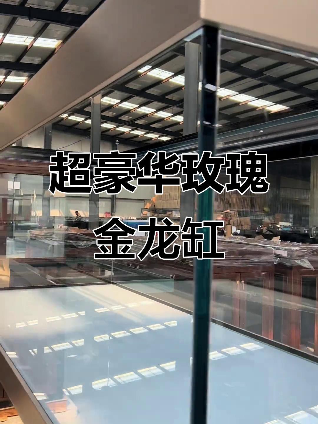 如何選擇適合龍魚的缸體材質【全面解析頂級龍魚缸怎么選】