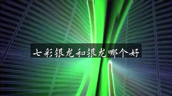 如何區分七彩銀龍魚的品質？【七彩銀龍魚和銀龍有什么區別】