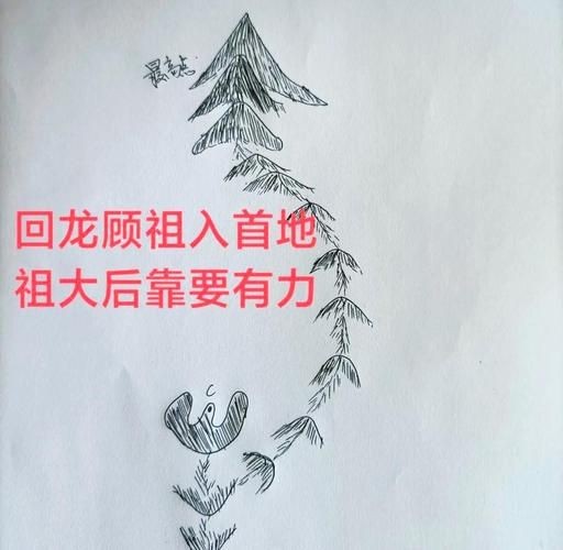 雷龍用細沙還是粗砂【關于雷龍飼養中使用的是細沙還是粗砂，存在不同觀點】