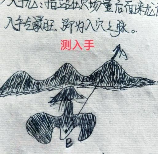雷龍用細沙還是粗砂【關于雷龍飼養中使用的是細沙還是粗砂，存在不同觀點】