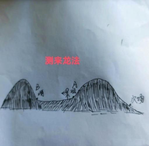 雷龍用細沙還是粗砂【關于雷龍飼養中使用的是細沙還是粗砂，存在不同觀點】