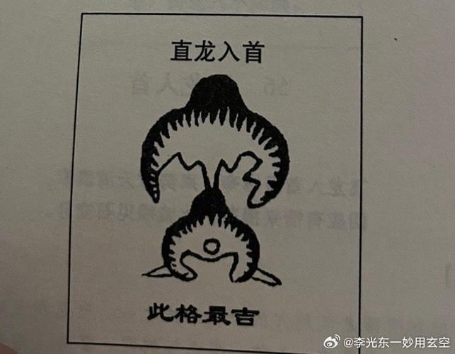 雷龍用細沙還是粗砂【關于雷龍飼養中使用的是細沙還是粗砂，存在不同觀點】