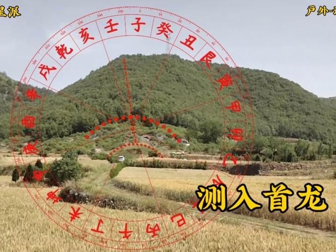雷龍用細沙還是粗砂【關于雷龍飼養中使用的是細沙還是粗砂，存在不同觀點】