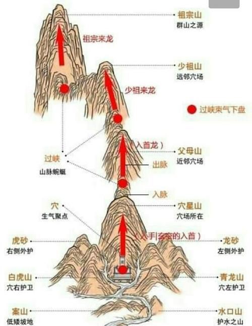 雷龍用細沙還是粗砂【關于雷龍飼養中使用的是細沙還是粗砂，存在不同觀點】