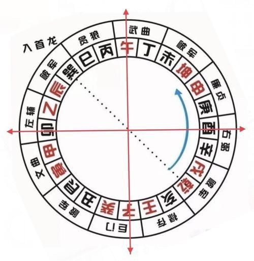 雷龍用細沙還是粗砂【關于雷龍飼養中使用的是細沙還是粗砂，存在不同觀點】
