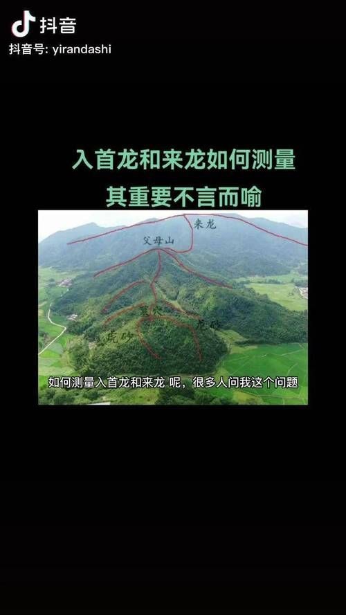 雷龍用細沙還是粗砂【關于雷龍飼養中使用的是細沙還是粗砂，存在不同觀點】