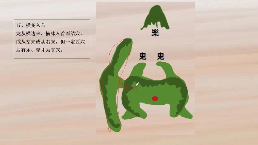 雷龍用細沙還是粗砂【關于雷龍飼養中使用的是細沙還是粗砂，存在不同觀點】