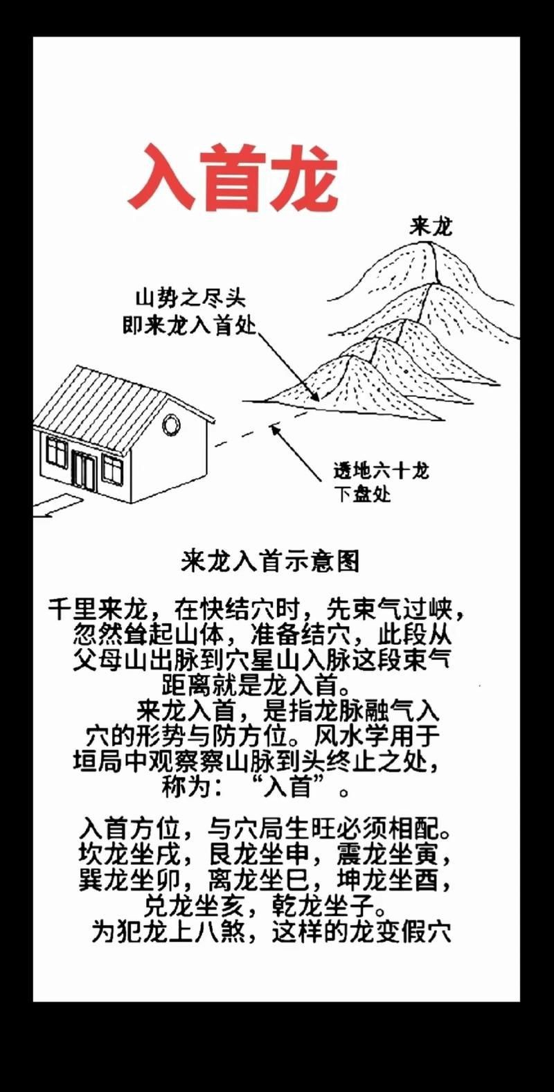 雷龍用細沙還是粗砂【關于雷龍飼養中使用的是細沙還是粗砂，存在不同觀點】