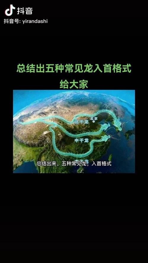 雷龍用細沙還是粗砂【關于雷龍飼養中使用的是細沙還是粗砂，存在不同觀點】