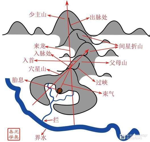 雷龍用細沙還是粗砂【關于雷龍飼養中使用的是細沙還是粗砂，存在不同觀點】