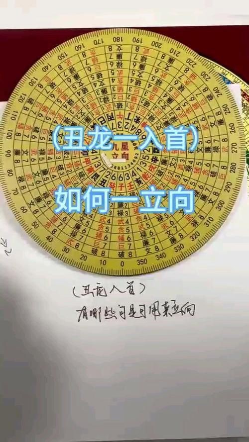 雷龍用細沙還是粗砂【關于雷龍飼養中使用的是細沙還是粗砂，存在不同觀點】