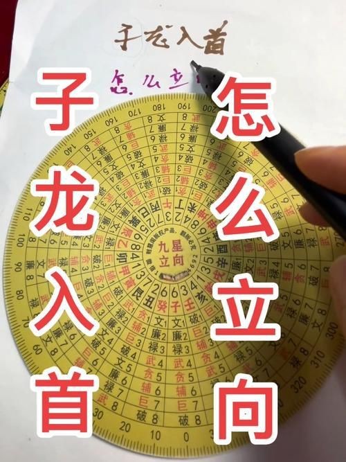 雷龍用細沙還是粗砂【關于雷龍飼養中使用的是細沙還是粗砂，存在不同觀點】