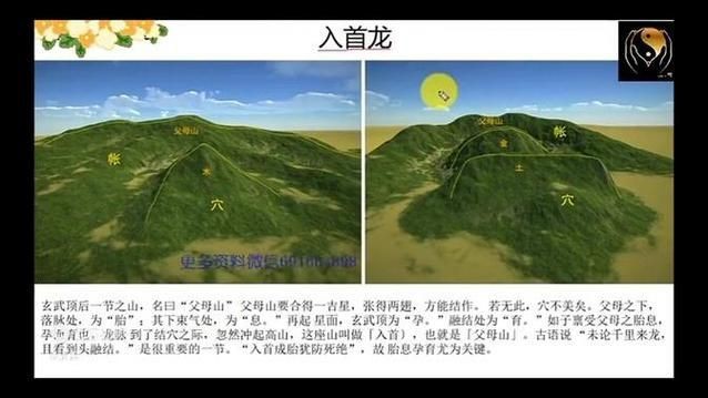雷龍用細沙還是粗砂【關于雷龍飼養中使用的是細沙還是粗砂，存在不同觀點】