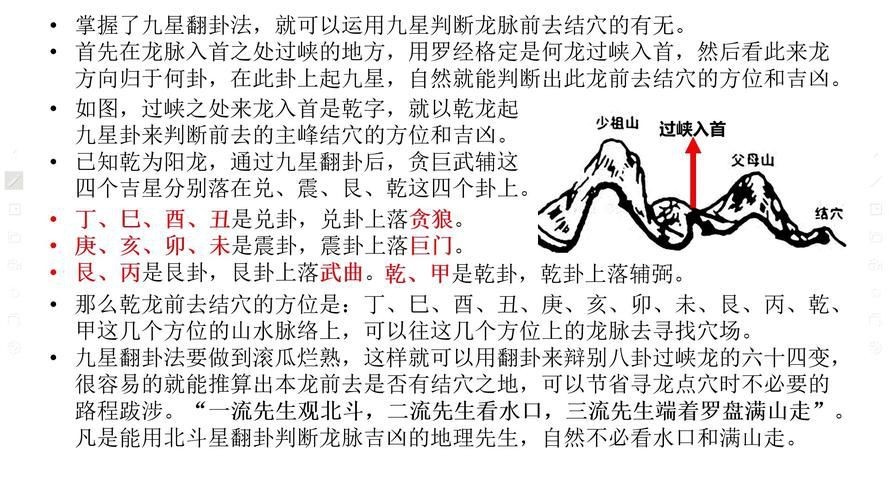 雷龍用細沙還是粗砂【關于雷龍飼養中使用的是細沙還是粗砂，存在不同觀點】