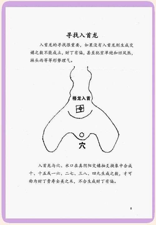 雷龍用細沙還是粗砂【關于雷龍飼養中使用的是細沙還是粗砂，存在不同觀點】