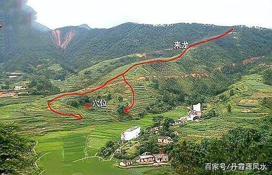 雷龍用細沙還是粗砂【關于雷龍飼養中使用的是細沙還是粗砂，存在不同觀點】