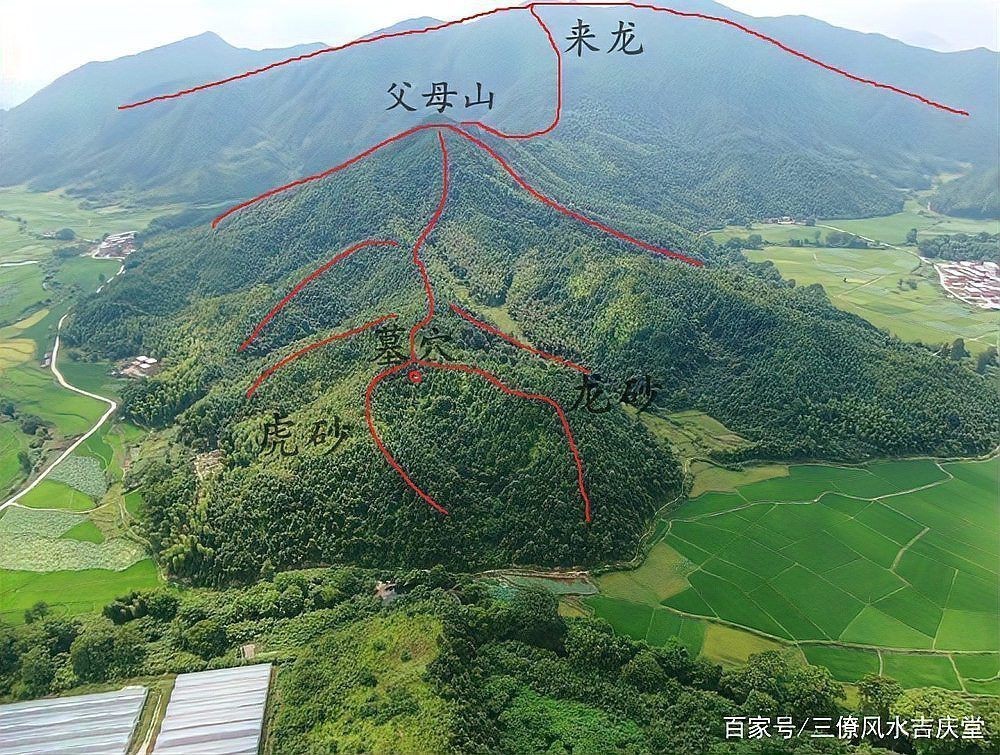 雷龍用細沙還是粗砂【關于雷龍飼養中使用的是細沙還是粗砂，存在不同觀點】