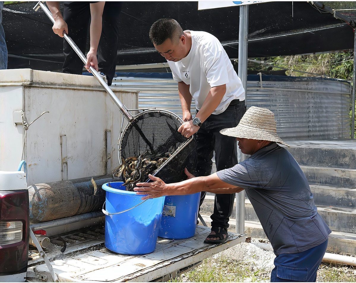 附近魚苗基地位置【北京周邊已形成多個特色魚苗培育集群，】