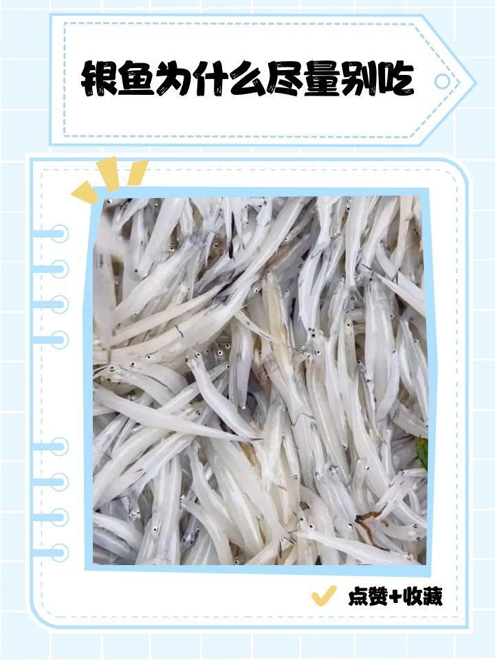 紅勾銀魚最忌三種東西【2019年銀魚價格多少錢一斤吃銀魚的禁忌你知道嗎】