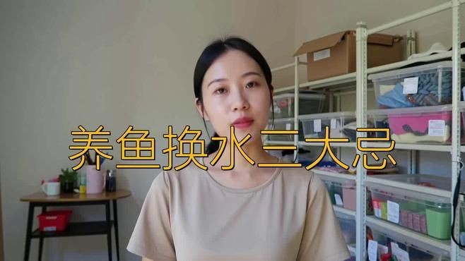 風(fēng)水魚多久換一次水【養(yǎng)魚人必看:魚缸換水頻率全攻略】