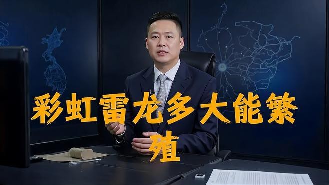 彩虹雷龍繁殖期如何護理？【彩虹雷龍繁殖帶苗全攻略，養魚新手也可簡單完成養魚說】 彩虹雷龍繁殖期如何護理？【彩虹雷龍繁殖帶苗全攻略，養魚新手也可簡單完成養魚說】 龍魚論壇 第2張