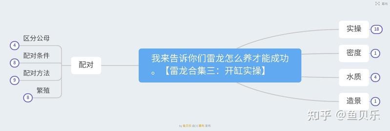 彩虹雷龍繁殖期如何護理？【彩虹雷龍繁殖帶苗全攻略，養魚新手也可簡單完成養魚說】 彩虹雷龍繁殖期如何護理？【彩虹雷龍繁殖帶苗全攻略，養魚新手也可簡單完成養魚說】 龍魚論壇 第7張