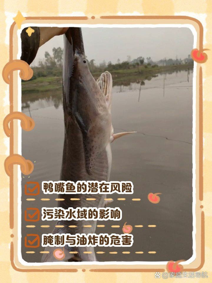 虎斑鴨嘴鯊魚能吃嗎【關于虎斑鴨嘴鯊魚能否食用存在諸多爭議，從一方面看】