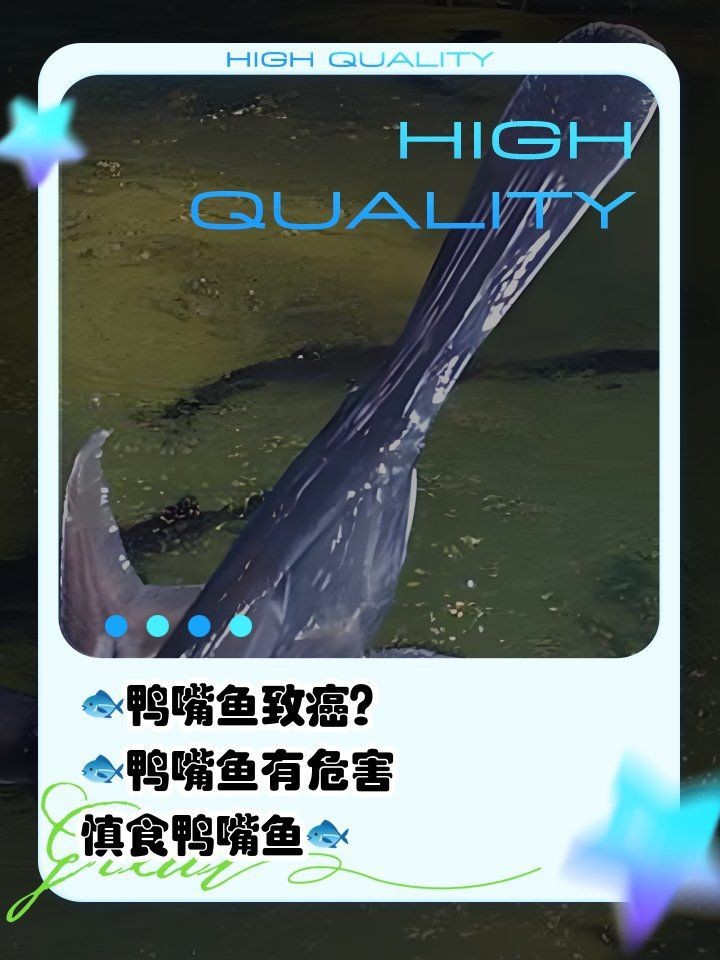 虎斑鴨嘴鯊魚能吃嗎【關于虎斑鴨嘴鯊魚能否食用存在諸多爭議，從一方面看】