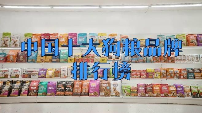 國(guó)產(chǎn)十大放心便宜狗糧【2025年國(guó)產(chǎn)十大放心且性價(jià)比高的狗糧品牌】
