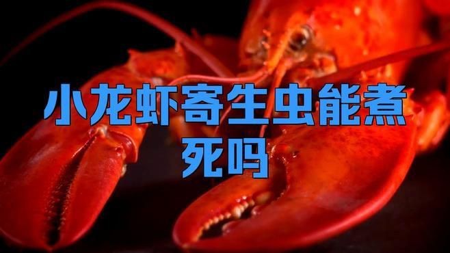 哪種烹飪方式最能有效殺死寄生蟲？【奧利漫研社：七月的監護人豬肉炒3分鐘能殺死寄生蟲嗎】