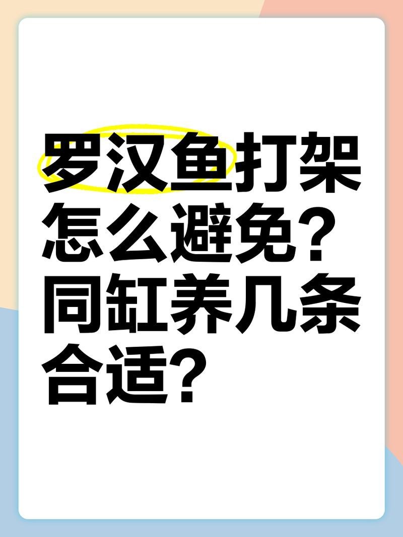 羅漢魚多少條才不打架【羅漢魚打架怎么辦】