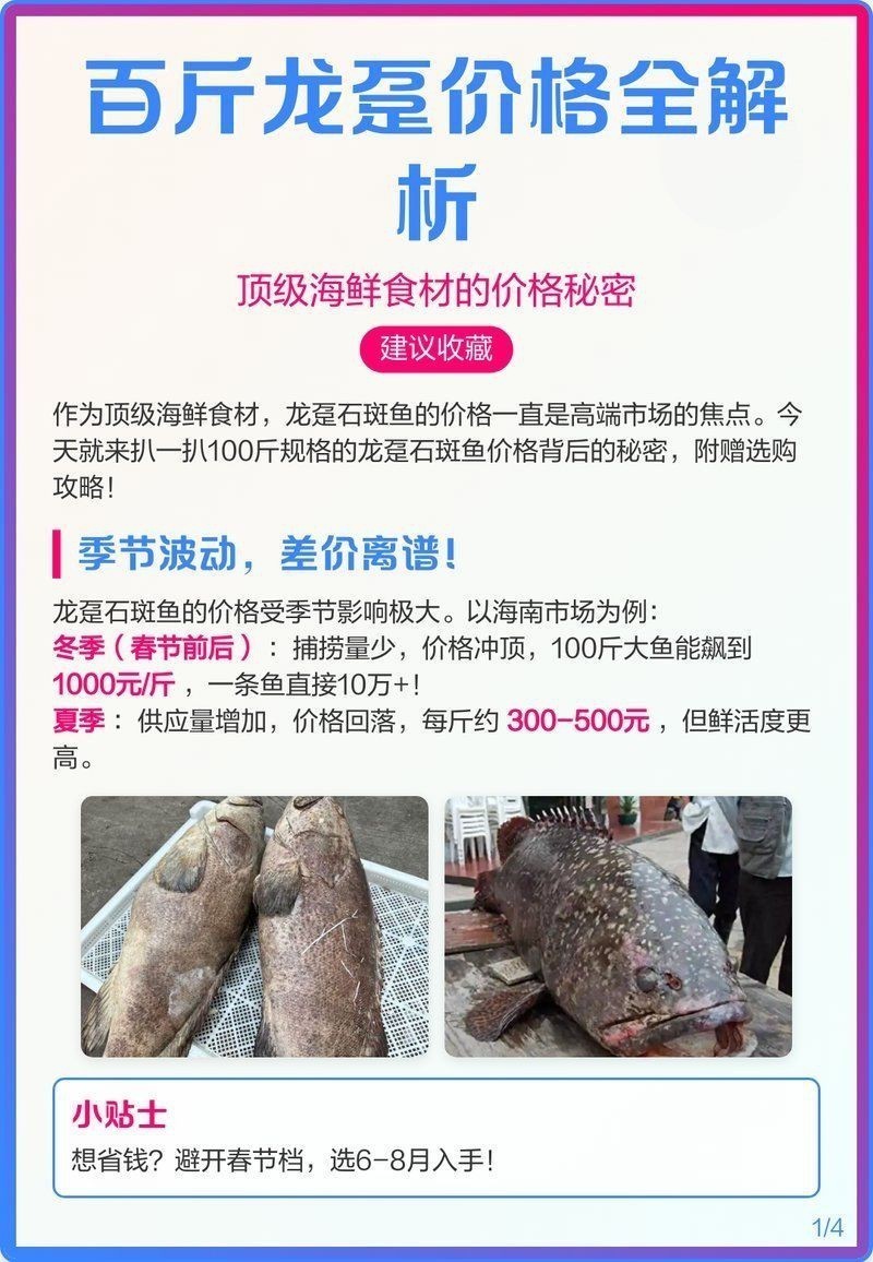 龍躉石斑魚的價格 龍魚百科 第3張 龍躉石斑魚的價格 龍躉石斑魚的價格 龍魚百科 第3張