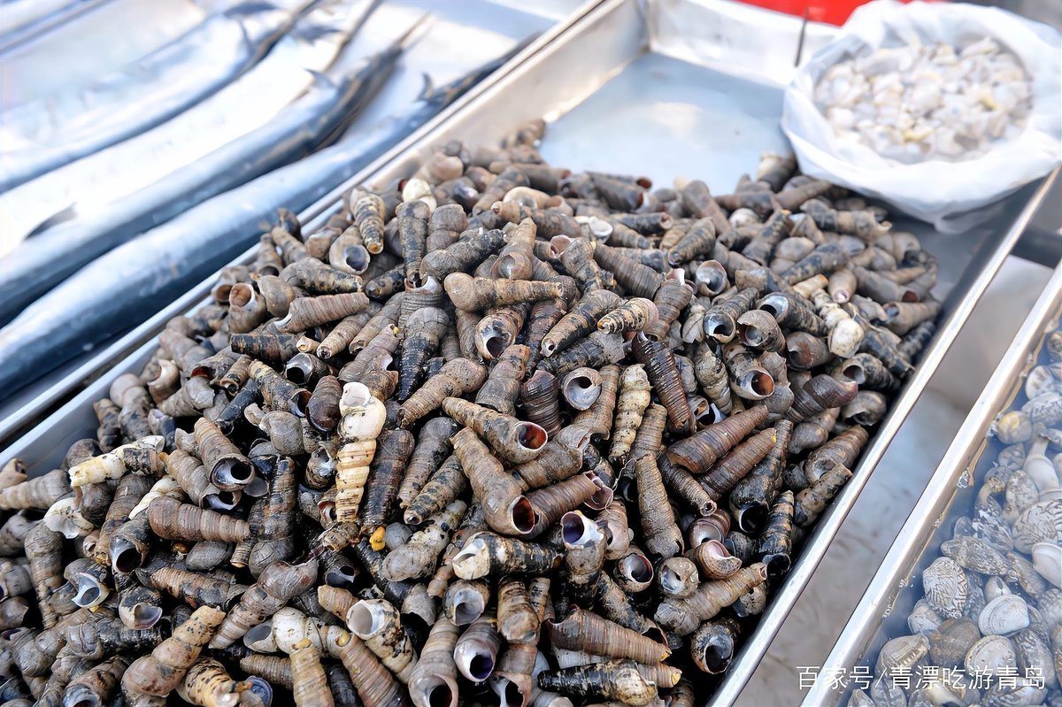 刀魚價格15一斤【15元一斤的刀魚，為什么價格懸殊十倍，網友：6000一斤】