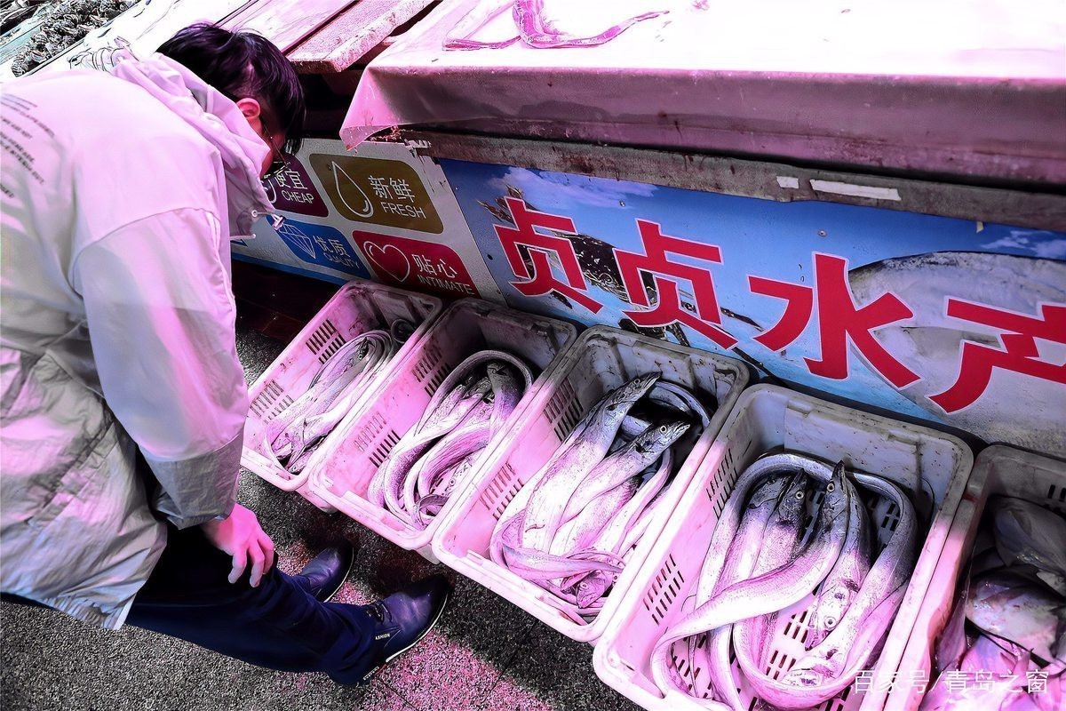刀魚價格15一斤【15元一斤的刀魚，為什么價格懸殊十倍，網友：6000一斤】