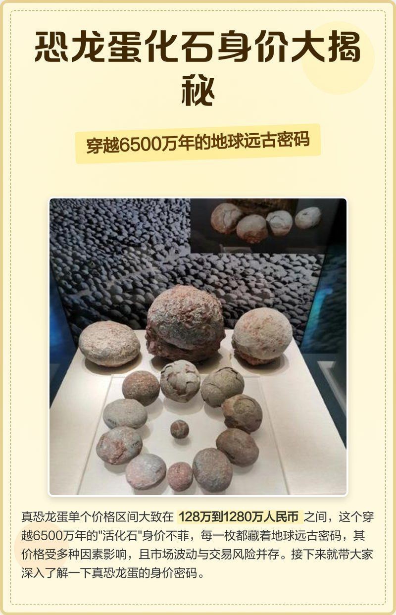 恐龍蛋最貴的三個顏色【《恐龍蛋最貴的三個顏色》】
