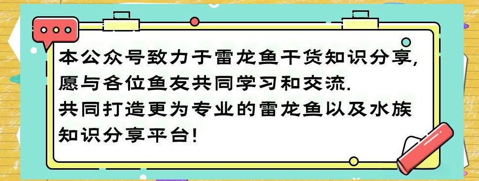 雷龍魚眼睛外凸正常嗎【雷龍魚眼睛外凸是否正常】