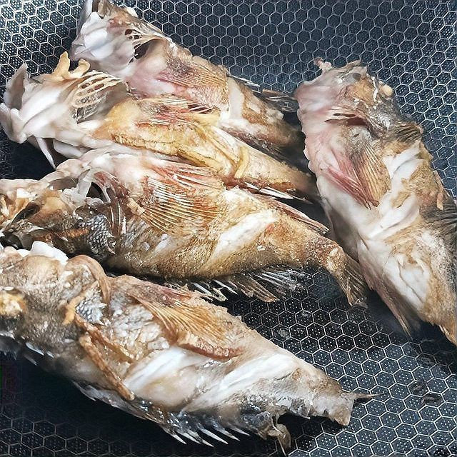 虎頭魚最忌三種做法【虎頭魚最忌諱的三種烹飪方法并提供“3不可放替代”】