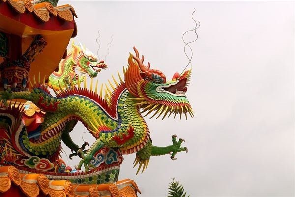 綠皮紅龍最忌三種顏色【《綠皮紅龍最忌三種顏色》】