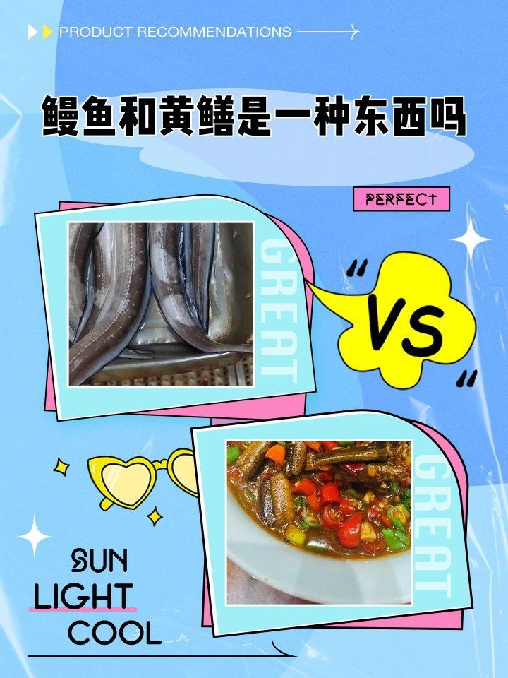 鰻魚和黃鱔是一種東西嗎【復禾健康，鰻魚和黃鱔是一種魚嗎】