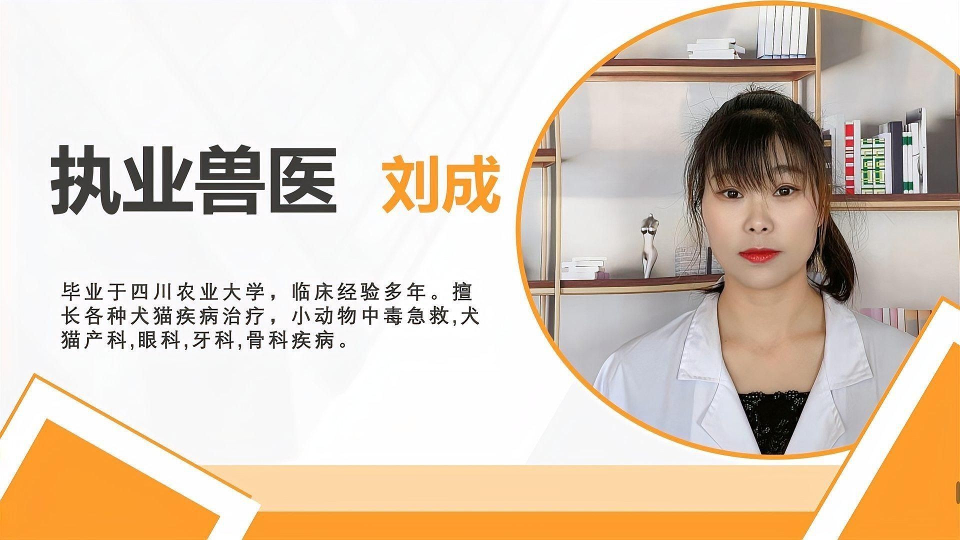 如何判斷錦鯉趴缸的原因【錦鯉趴缸原因及應對方法】