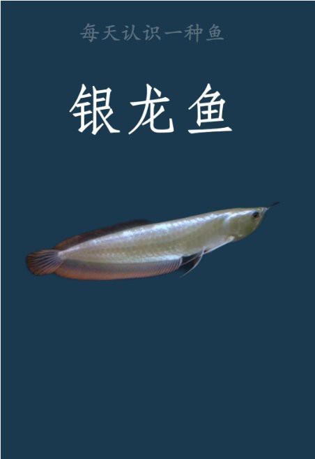 龍魚鰓蓋再生期間需要換水嗎？【龍魚鰓蓋再生期間如何換水】