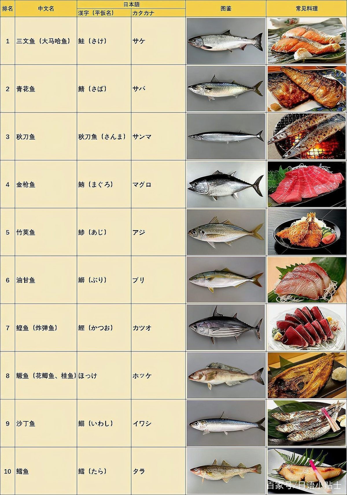 日本人最愛吃的10種魚【日本人最愛吃的10種魚，三文魚是常見之選】
