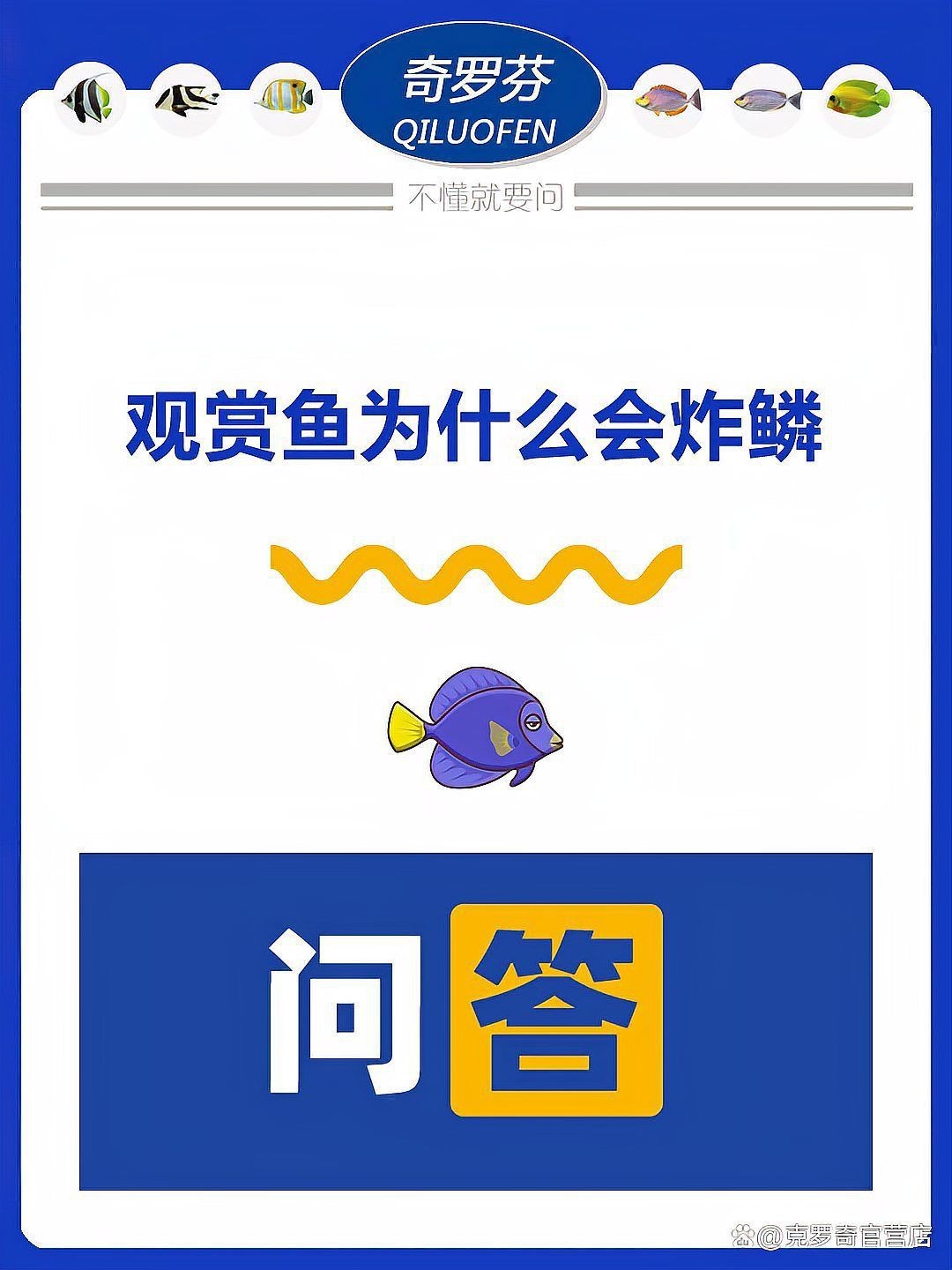 魚炸鱗肚子大怎么辦【魚炸鱗肚子大怎么辦只需這樣做讓你的魚恢復健康】